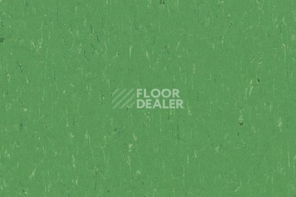 Линолеум Marmoleum Decibel on Order 364735 nettle green фото 1 | FLOORDEALER